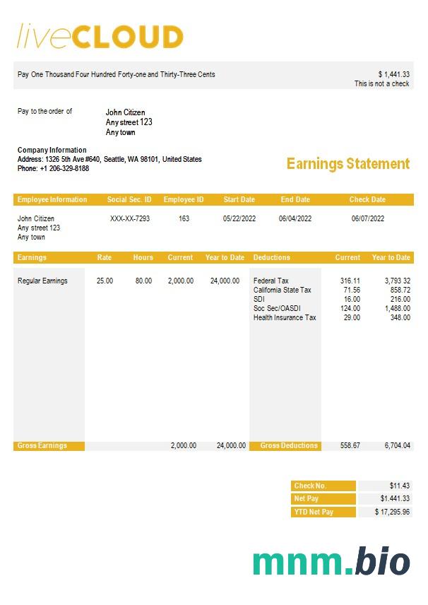 szablon paystub do przechowywania w chmurze w formatach Word i PDf